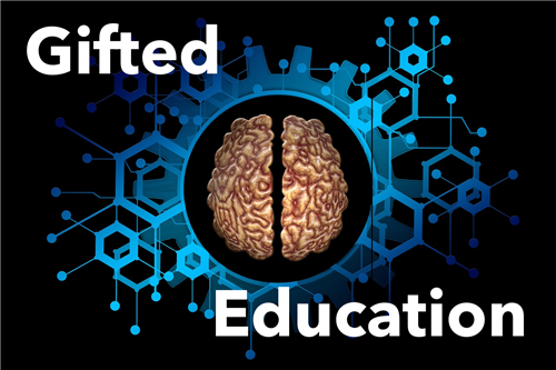 Gifted Education